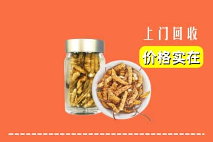 天峻县回收散虫草