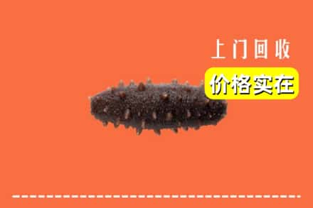天峻县回收海参