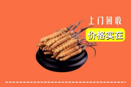 天峻县回收冬虫夏草