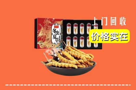 天峻县回收虫草